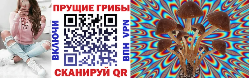 ОМГ ОМГ ссылка  Уржум  Псилоцибиновые грибы MAGIC MUSHROOMS 